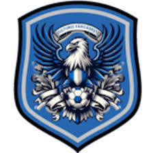 https://img.hansncom.com/img/football/team/09bb5b9732bc080d522c37e74ce70004.png