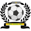 https://img.hansncom.com/img/football/team/6dc6d59af2f0962597b412473a6708ee.png